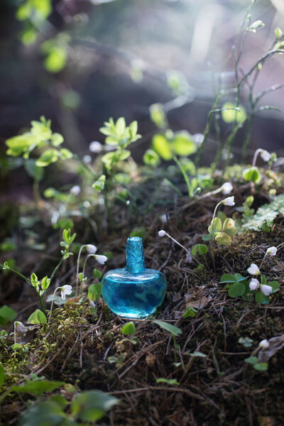 magic potion on bottle in forest