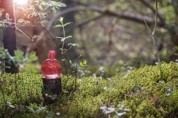 Pozione magica sulla bottiglia nella foresta — Foto Stock