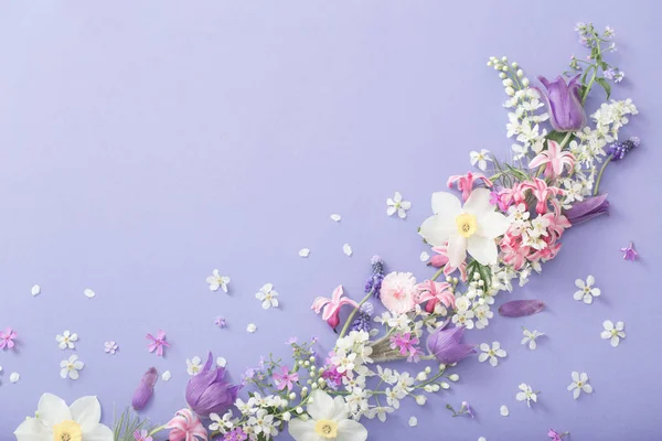 Spring flowers on paper background — Stock Photo, Image