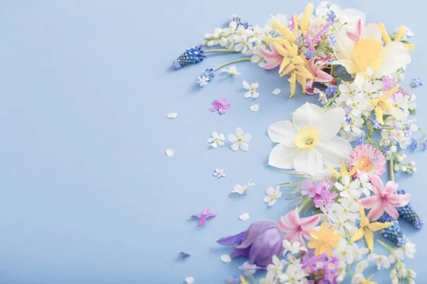 Wiosenne kwiaty na tle papieru — Zdjęcie stockowe