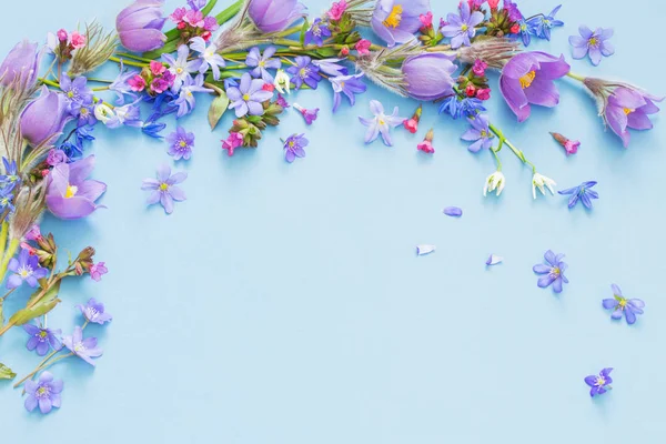Flores de primavera sobre fondo azul —  Fotos de Stock