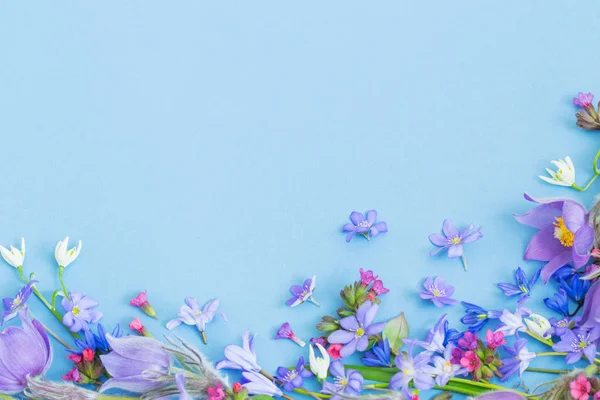 Spring flowers on blue background — Stock Photo, Image