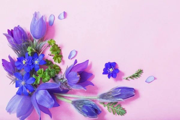 Hermosas flores de primavera sobre fondo rosa —  Fotos de Stock