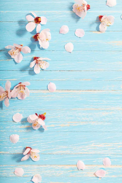 Bunga ceri merah muda dengan latar belakang kayu — Stok Foto