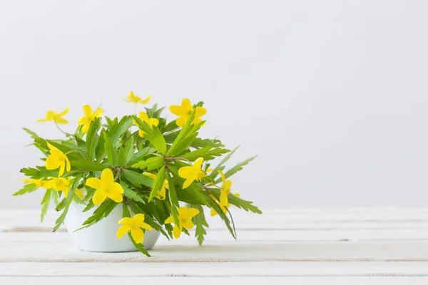 Fiori gialli primaverili in vaso su fondo bianco — Foto Stock