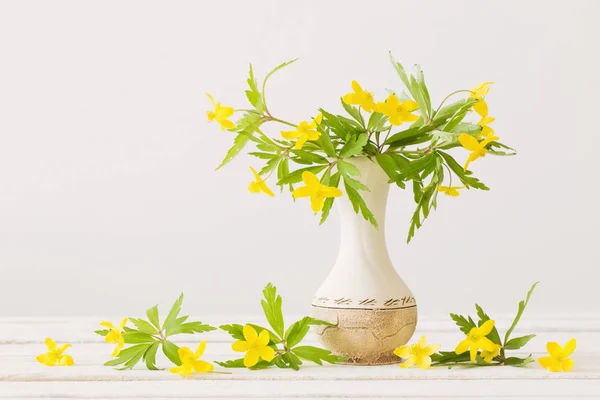 白い背景の花瓶の黄色の春の花 — ストック写真