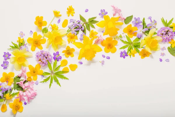 Lente bloemen op witte achtergrond — Stockfoto