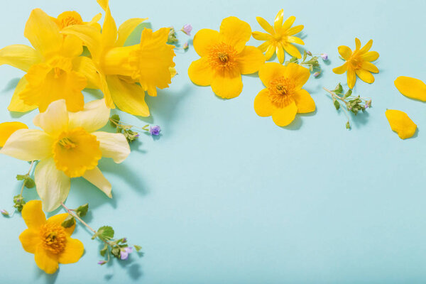 spring flowers on blue background