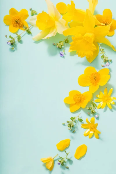 푸른 배경에 있는 봄 꽃들 — 스톡 사진