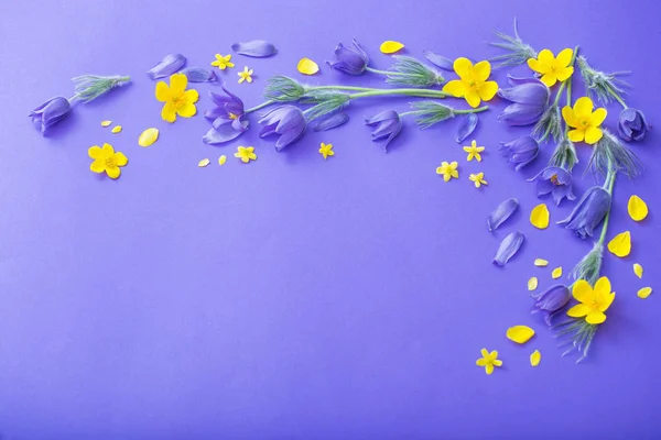 Mor kağıt arka plan üzerinde mor ve sarı bahar çiçekleri — Stok fotoğraf