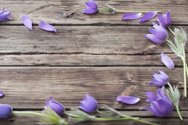 Spring purple flowers on old wooden background — Stock Photo, Image