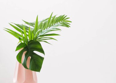 Beyaz arka planda palmiye yaprakları ile vazo