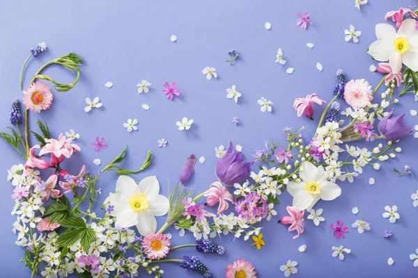 Fiori di primavera su sfondo di carta — Foto Stock