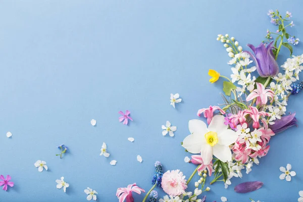 Fiori di primavera su sfondo di carta — Foto Stock