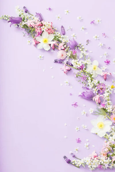 Flores de primavera sobre fondo de papel — Foto de Stock