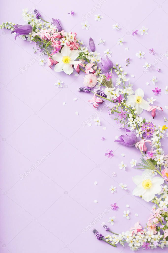 spring flowers on paper background