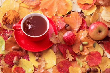  arka planda çay fincan sonbahar yaprakları