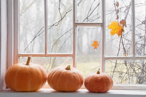 Zucca arancione sul davanzale della finestra — Foto Stock