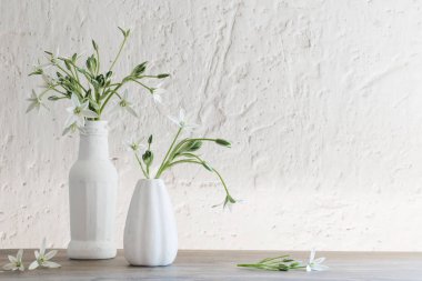 arka plan eski beyaz duvarda vazo beyaz çiçekler