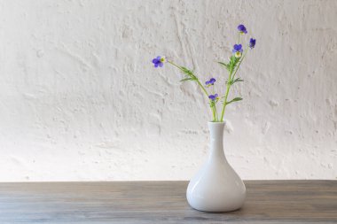 arka plan beyaz duvarda vazo viyola çiçekler