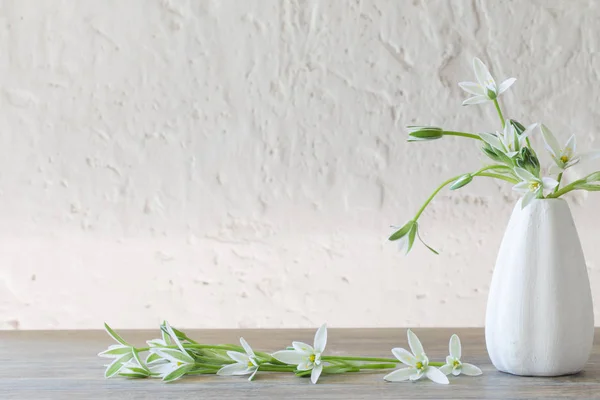 Flores brancas em vaso no fundo parede branca velha — Fotografia de Stock