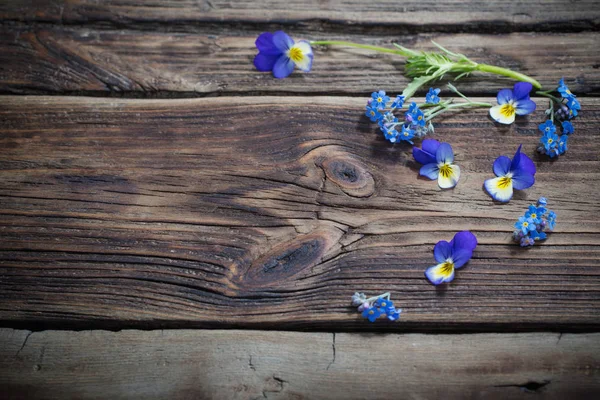 Viola Blumen auf dunklem Holz Hintergrund — Stockfoto