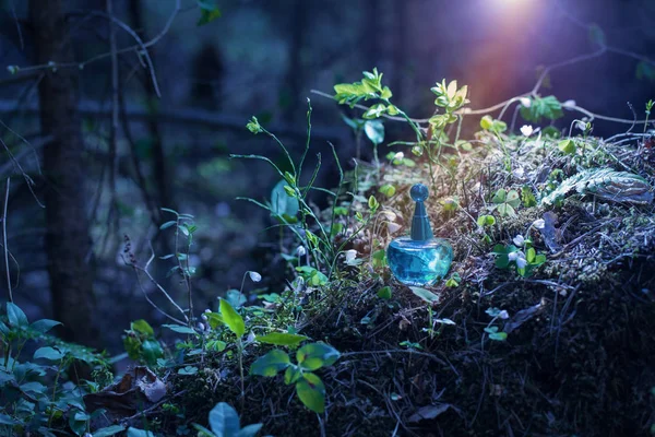 Potion magique sur bouteille en forêt — Photo