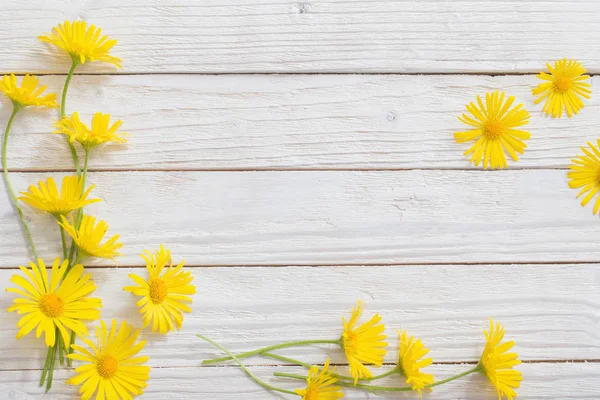 Boyalı ahşap arka plan üzerinde doronicum çiçekler — Stok fotoğraf