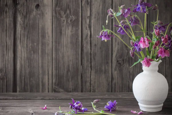 Aquilegia flores em vaso branco no fundo de madeira velho — Fotografia de Stock