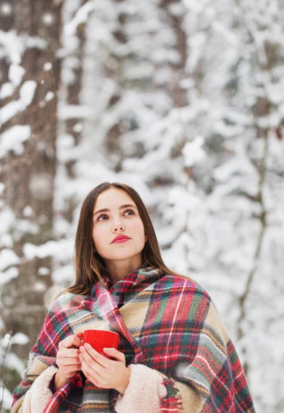 Menina bonita na floresta de inverno — Fotografia de Stock