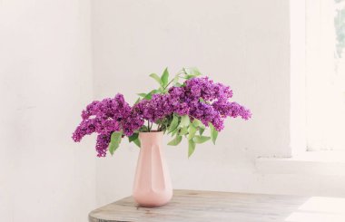 arka plan eski beyaz duvarda vazo içinde leylak