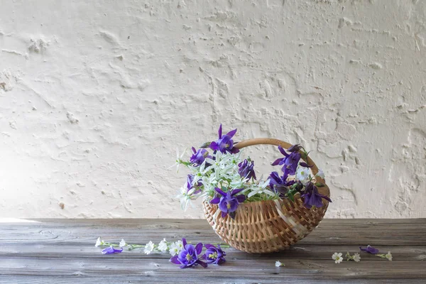 Flores de verano en cesta sobre fondo pared blanca — Foto de Stock