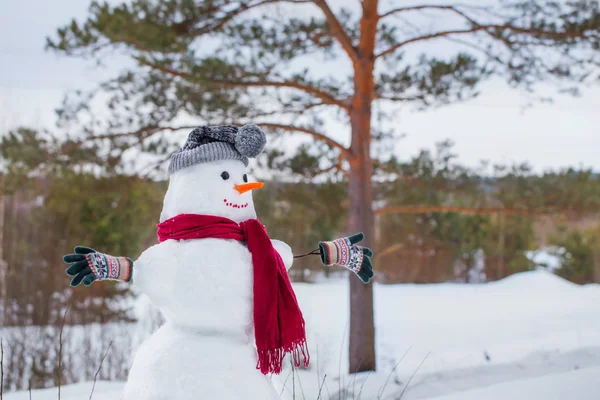 Сніговик в червоному шарфі в лісі — стокове фото