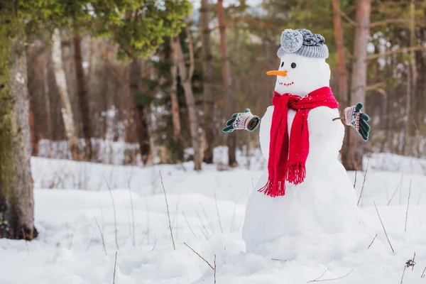 Schneemann mit rotem Schal im Wald — Stockfoto