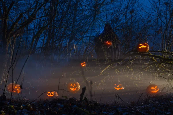 夜の森の中でハロウィーンカボチャと幽霊 — ストック写真