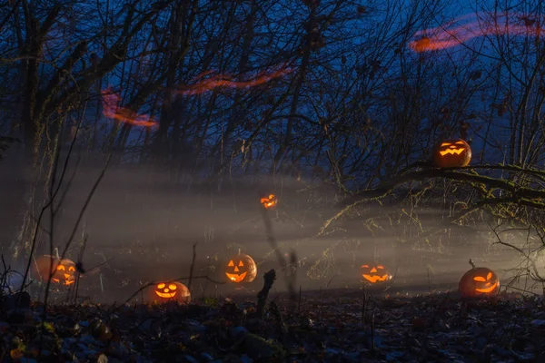 Abóboras de Halloween na floresta noturna — Fotografia de Stock