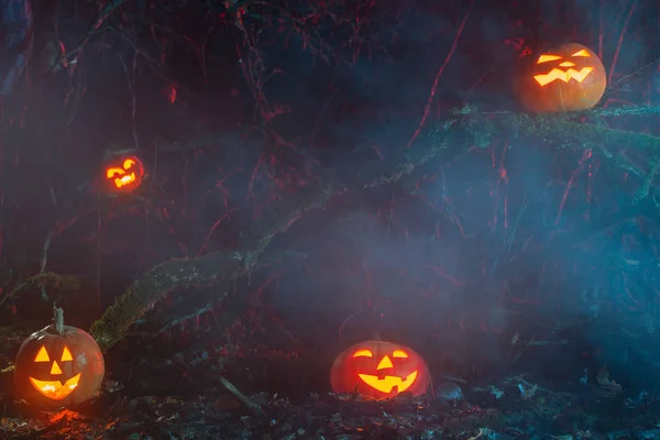 Abóboras de Halloween na floresta noturna — Fotografia de Stock