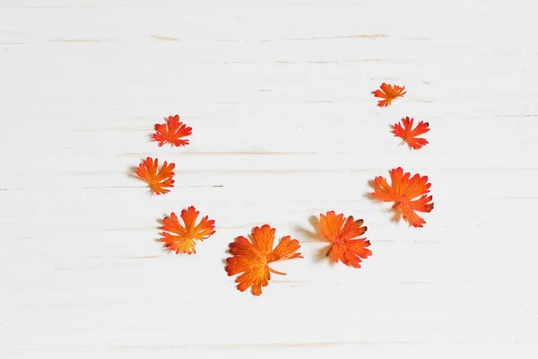 Hojas de otoño sobre fondo de madera —  Fotos de Stock