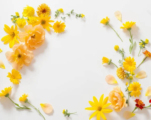 Beyaz arkaplanda sarı ve turuncu çiçekler