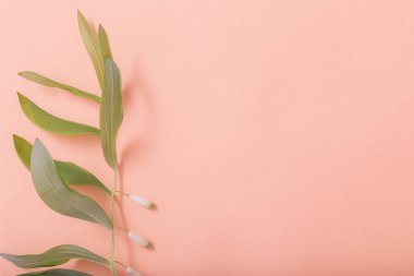 Kağıt arkaplanda yabani bitkiler