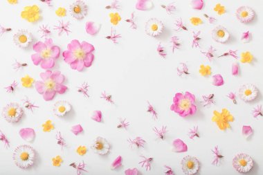 beyaz zemin üzerine yaz çiçek