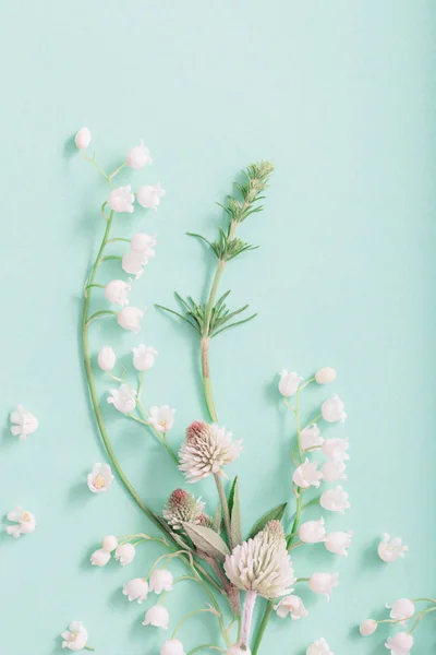 Wild flowers on green paper background — Stock Photo, Image