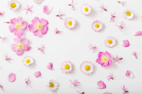 Summer flowers on white background — Stock Photo, Image