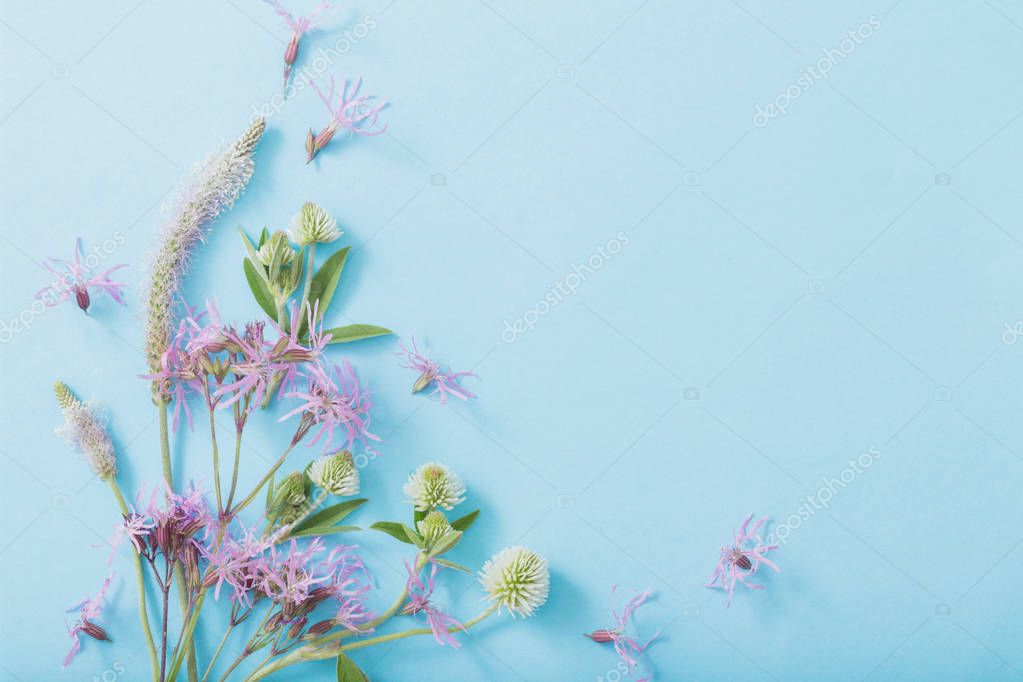 Summer flowers on blue paper background