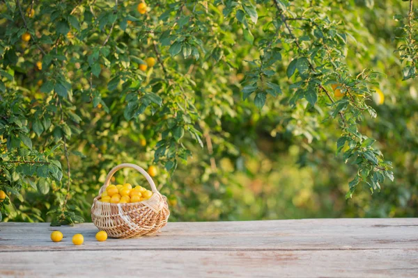 Prune jaune dans le panier sur la table en bois extérieure — Photo