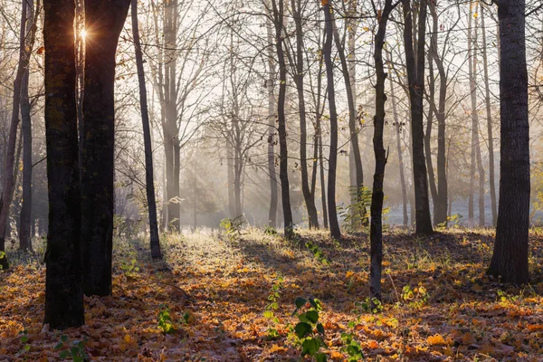 Slunná podzimní krajina s mrazem — Stock fotografie