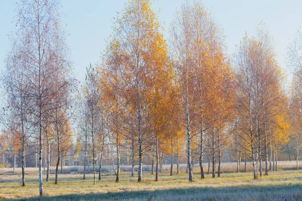 Słoneczny jesienny krajobraz z mrozem — Zdjęcie stockowe
