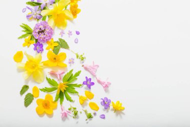 beyaz arkaplanda bahar çiçekleri