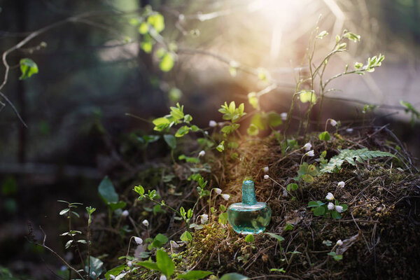 magic potion on bottle in forest