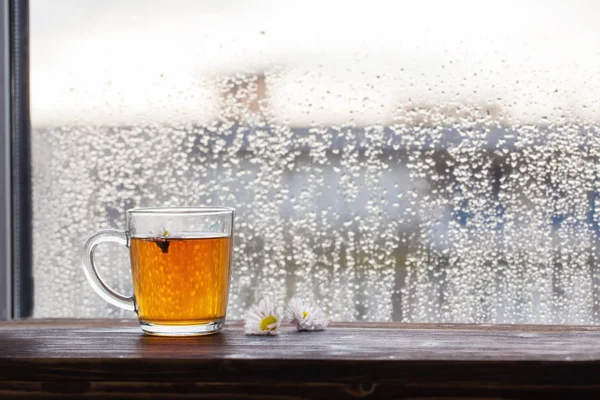 Cup of tea  on  background of  window with raindrops at sunset — Stock Photo, Image